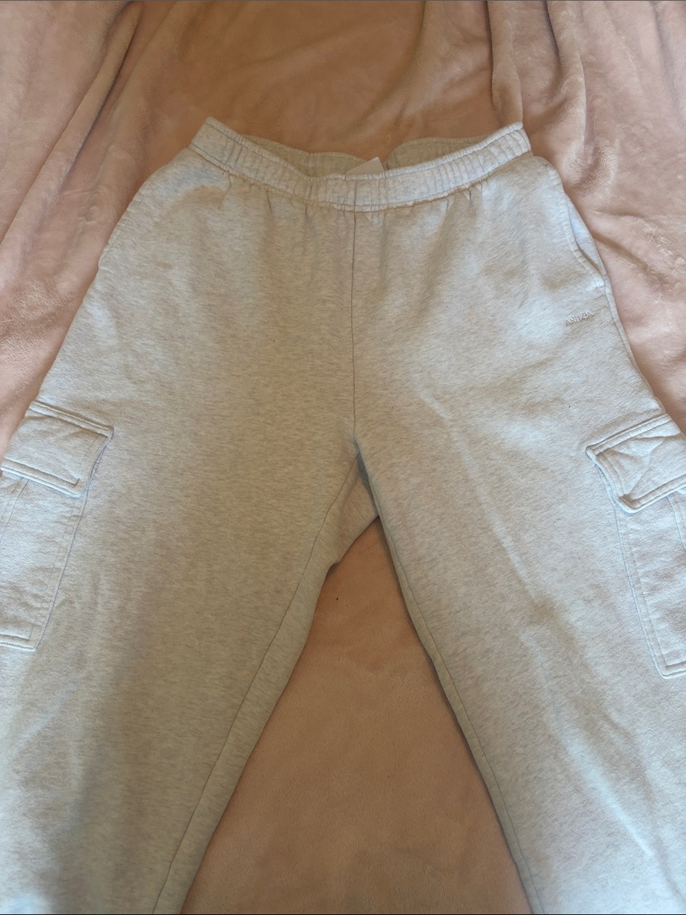 Aritzia Heather Light Gray Cargo Joggers